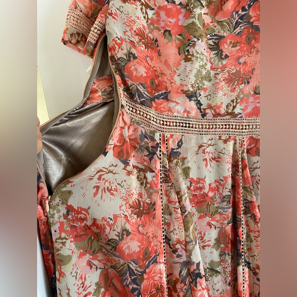 NWT -Anthropologie Ranna Gill Rose Bouquet Dress - size 2 - Picture 10 of 11